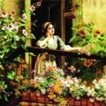 ΡΙΖΌΧΑΡΤΟ ΜΕΤΑΦΟΡΆΣ ΕΙΚΌΝΑΣ 35CMX25CM