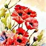 ΡΙΖΌΧΑΡΤΟ ΜΕΤΑΦΟΡΆΣ ΕΙΚΌΝΑΣ 24CMX17CM