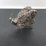 Πήλινο πεταλούδα 18cmX13cm