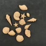 Ξυλόγλυπτο Διακοσμητικό Κοχύλι σετ 14 Τεμαχίων