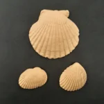 Ξυλόγλυπτο Διακοσμητικό Κοχύλι σετ 3 Τεμαχίων 6εκ. Χ 6εκ.