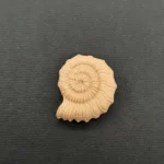 Ξυλόγλυπτο Διακοσμητικό Κοχύλι 3εκ.Χ2,5εκ.