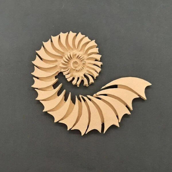 Ξυλόγλυπτο Διακοσμητικό Κοχλίας 17εκ.Χ13εκ.