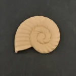 Ξυλόγλυπτο Διακοσμητικό Κοχύλι 16εκ.χ15εκ.