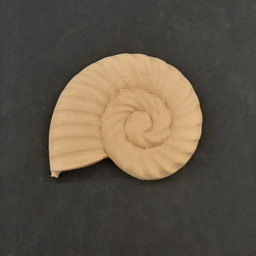 Ξυλόγλυπτο Διακοσμητικό Κοχύλι 16εκ.χ15εκ.