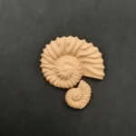 Ξυλόγλυπτα Διακοσμητικά  κοχύλια Σετ 2 τεμ.8εκΧ6,5εκ.