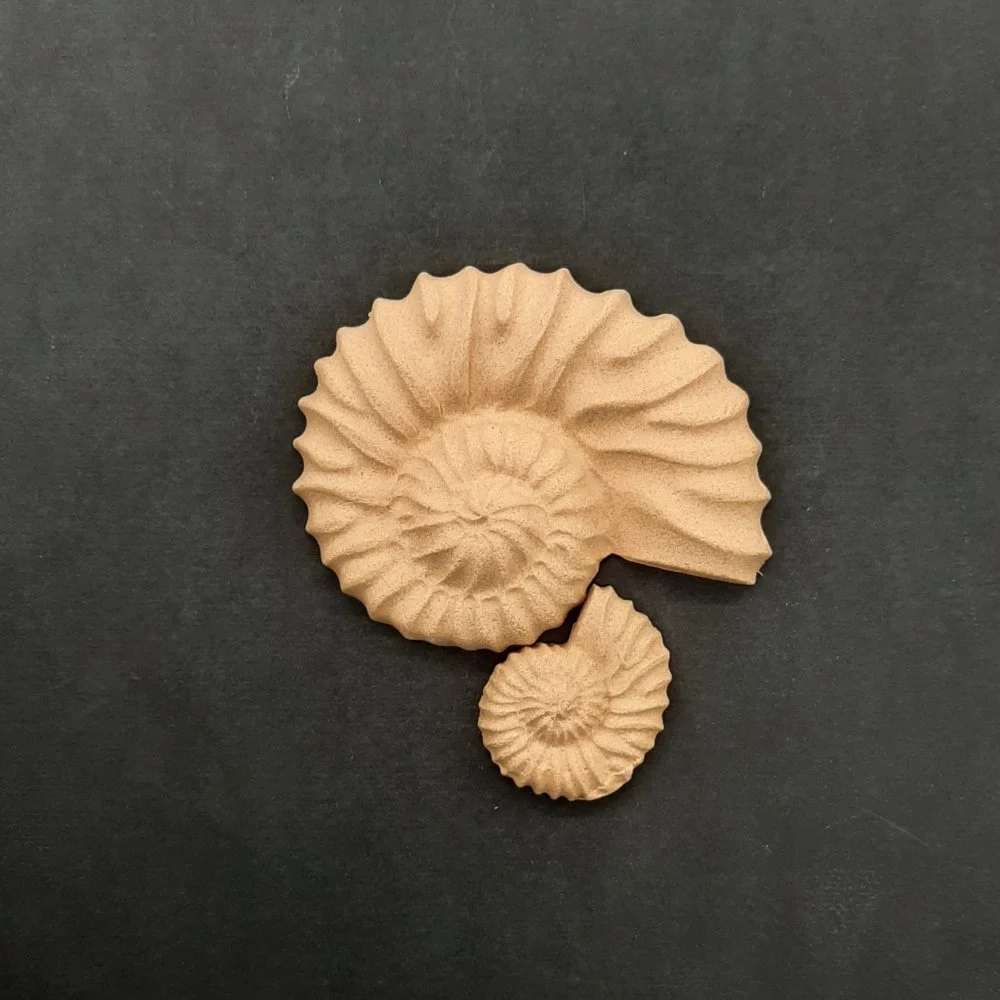 Ξυλόγλυπτα Διακοσμητικά  κοχύλια Σετ 2 τεμ.8εκΧ6,5εκ.