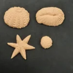 Ξυλόγλυπτα Διακοσμητικά Σετ 4 τεμ. 8εκΧ5,5εκ.