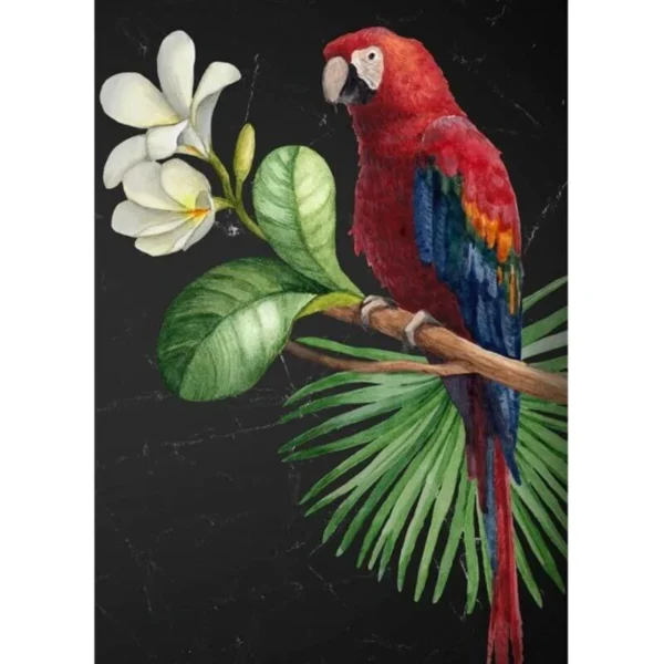 PARROT 0 800x800