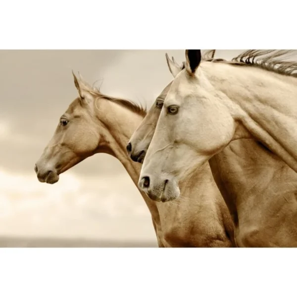 Reverse Sepia Horses 800x800