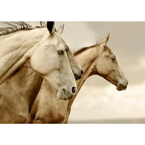 SepiaHorses 5000x 800x800