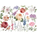 13 2048x 800x800.png