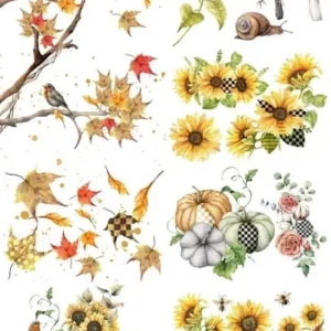 Fall Into Whimsy transfer