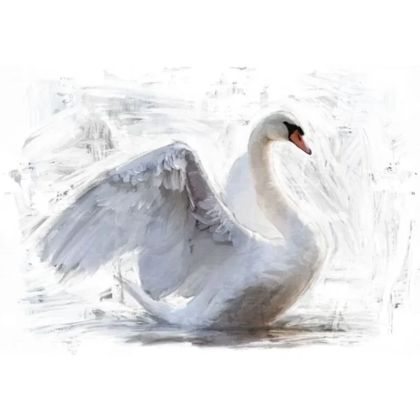 Reverse Swan 800x800 (1)