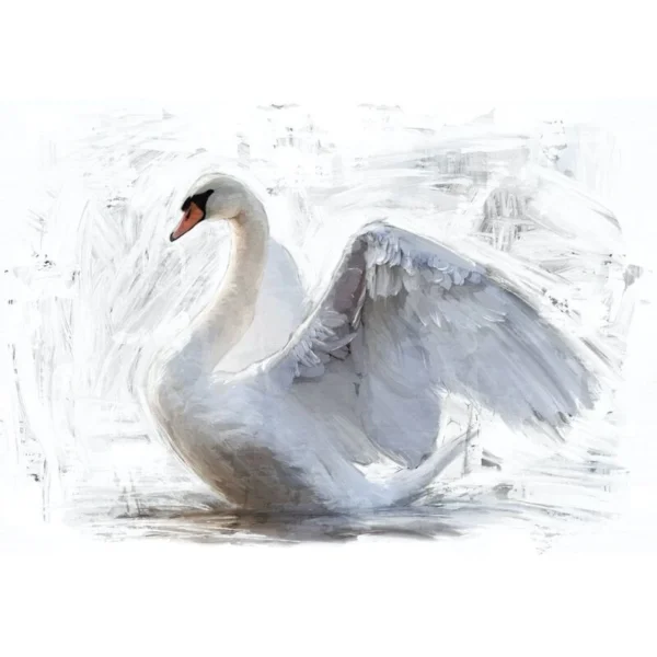 WhiteSwan 5000x 800x800