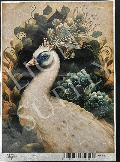 Ριζόχαρτο  30x42cm, White peacock
