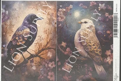 Ριζόχαρτο  30x42cm, Black and white bird