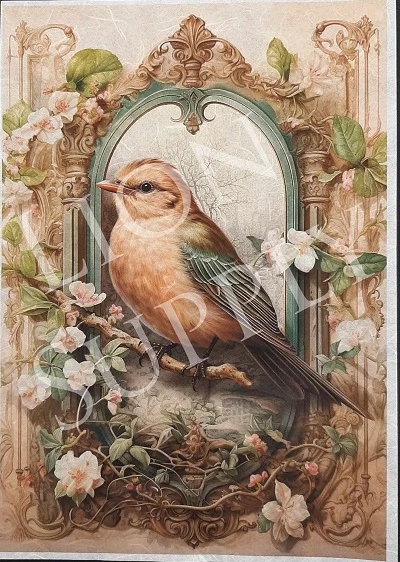 Ριζόχαρτο Πουλί