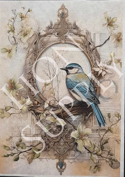 Ριζόχαρτο Πουλί-Κορνίζα