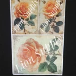 Ρυζόχαρτο Τριανταφυλλιά 2