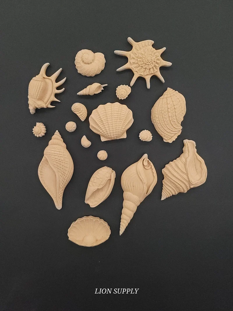 Ξυλόγλυπτο Διακοσμητικό Σετ Κοχύλια 18 τεμ.