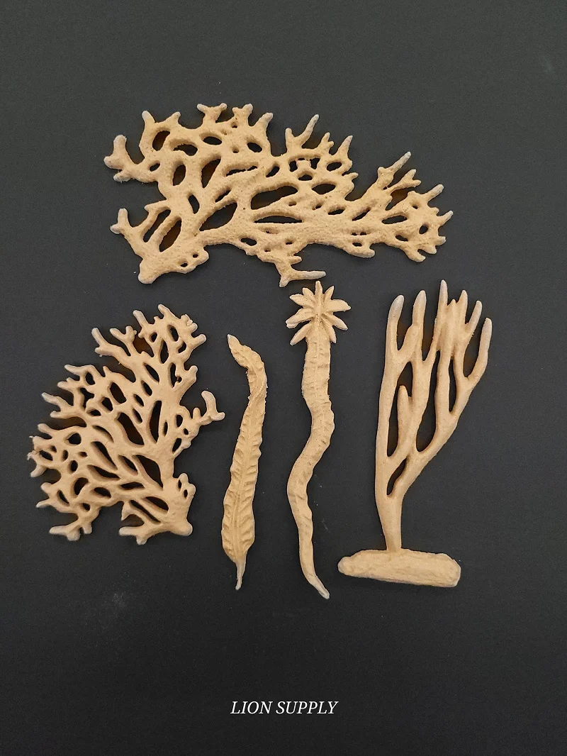 Ξυλόγλυπτο Διακοσμητικό Κοράλια Σετ 5 τεμ.
