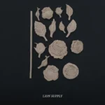 Ξυλόγλυπτο Διακοσμητικό Σετ 15 Τεμαχίων