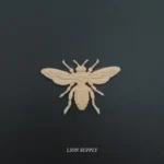 Ξυλόγλυπτο Διακοσμητικό Έντομο 9εκ.Χ6εκ.