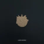 Ξυλόγλυπτο Διακοσμητικό Χριστουγεννιάτικη Μπάλα 5εκ.Χ5εκ.