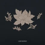 Ξυλόγλυπτο Διακοσμητικό Γκι Σετ 5 Τεμαχίων 13εκ.Χ11εκ.